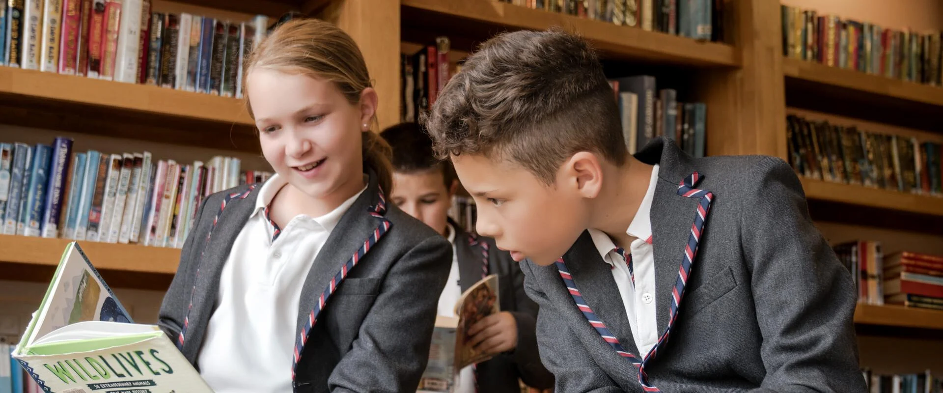 British School of Madrid international school campus in Madrid